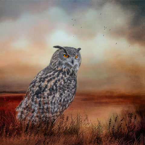 Visitor to the Marsh White Modern Wood Framed Art Print with Double Matting by Parker, Kelley