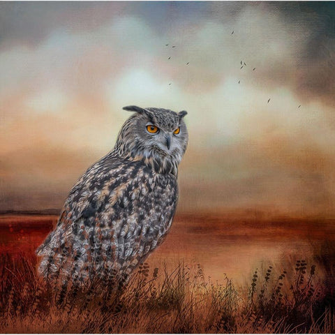 Visitor to the Marsh Black Modern Wood Framed Art Print by Parker, Kelley