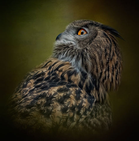 Whats Above White Modern Wood Framed Art Print with Double Matting by Parker, Kelley