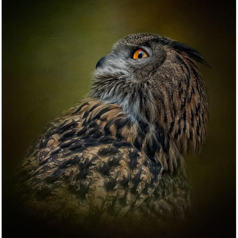 Whats Above White Modern Wood Framed Art Print by Parker, Kelley