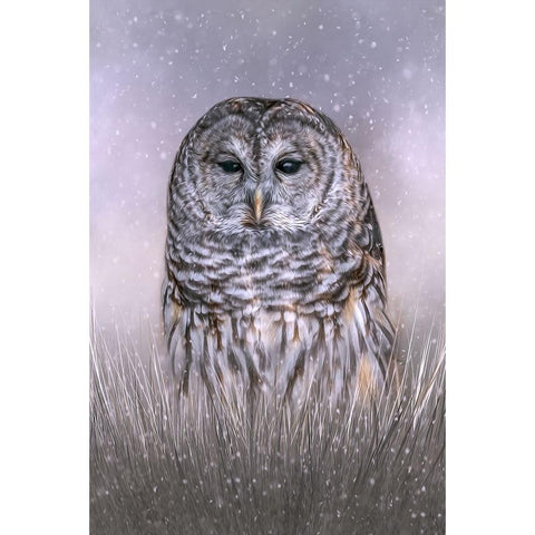 Winters Twilight Gold Ornate Wood Framed Art Print with Double Matting by Parker, Kelley