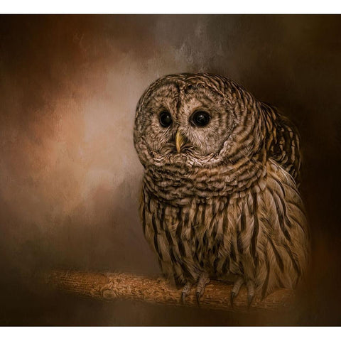 Wisdom Listener White Modern Wood Framed Art Print by Parker, Kelley