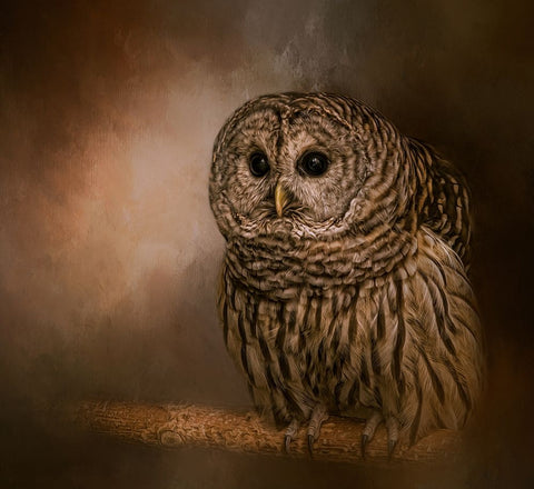 Wisdom Listener Black Ornate Wood Framed Art Print with Double Matting by Parker, Kelley