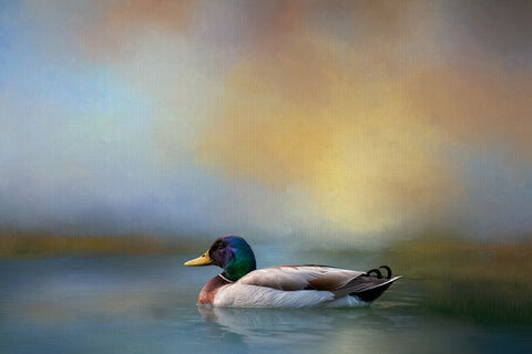 Relaxing Swim White Modern Wood Framed Art Print with Double Matting by Parker, Kelley