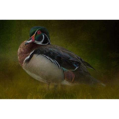 The Woodsman Black Modern Wood Framed Art Print with Double Matting by Parker, Kelley