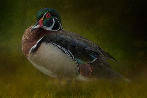 The Woodsman White Modern Wood Framed Art Print with Double Matting by Parker, Kelley