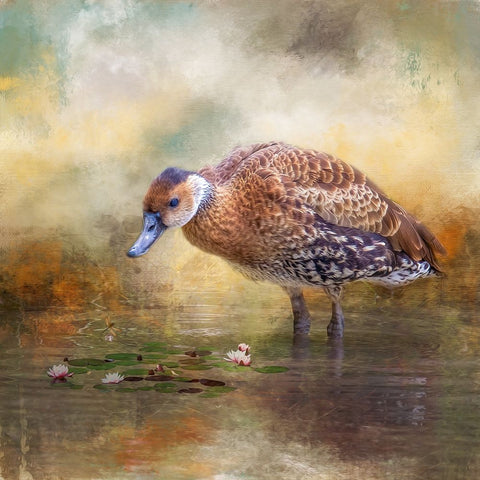 At the Pond White Modern Wood Framed Art Print with Double Matting by Parker, Kelley