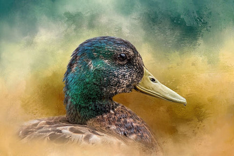 Celebration of Colors White Modern Wood Framed Art Print with Double Matting by Parker, Kelley