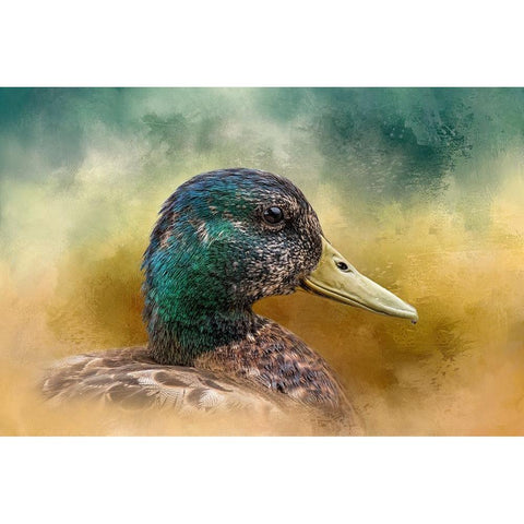 Celebration of Colors Black Modern Wood Framed Art Print with Double Matting by Parker, Kelley