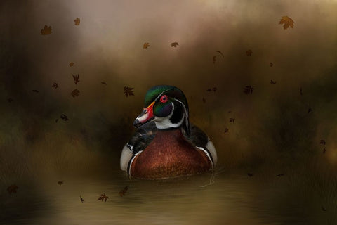 Autumn Cruise Black Ornate Wood Framed Art Print with Double Matting by Parker, Kelley