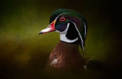 Color Palette Black Ornate Wood Framed Art Print with Double Matting by Parker, Kelley