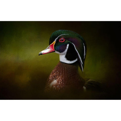 Color Palette White Modern Wood Framed Art Print by Parker, Kelley