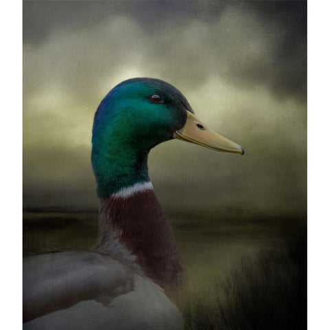 Dapper Drake Black Modern Wood Framed Art Print with Double Matting by Parker, Kelley