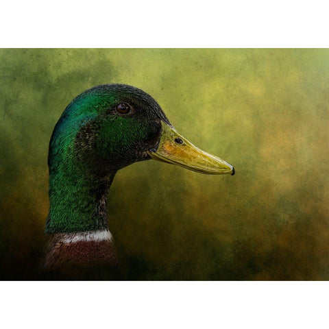 Draped in Green Black Modern Wood Framed Art Print by Parker, Kelley