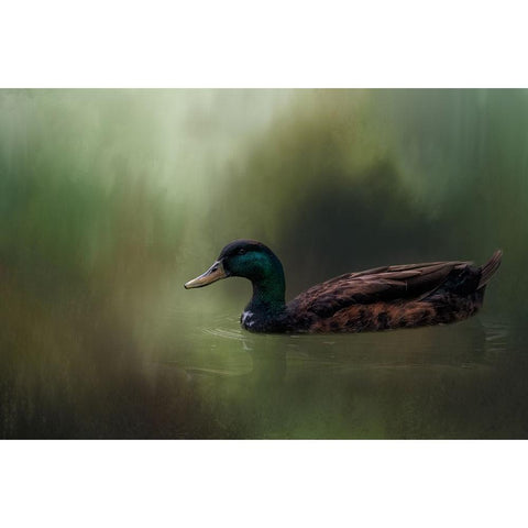 In His Element Black Modern Wood Framed Art Print with Double Matting by Parker, Kelley