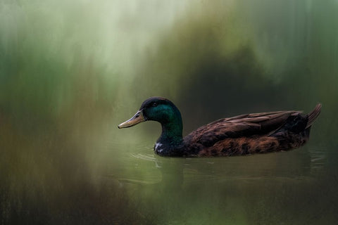 In His Element Black Ornate Wood Framed Art Print with Double Matting by Parker, Kelley