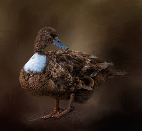 Just Ducky Black Ornate Wood Framed Art Print with Double Matting by Parker, Kelley