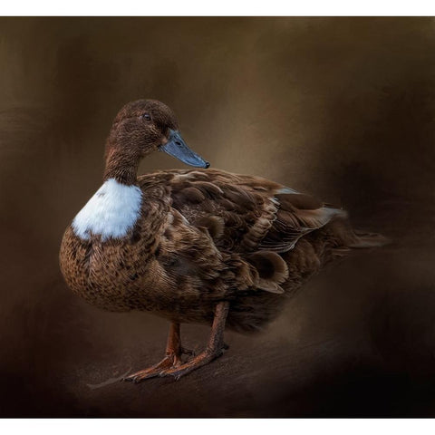 Just Ducky Black Modern Wood Framed Art Print by Parker, Kelley