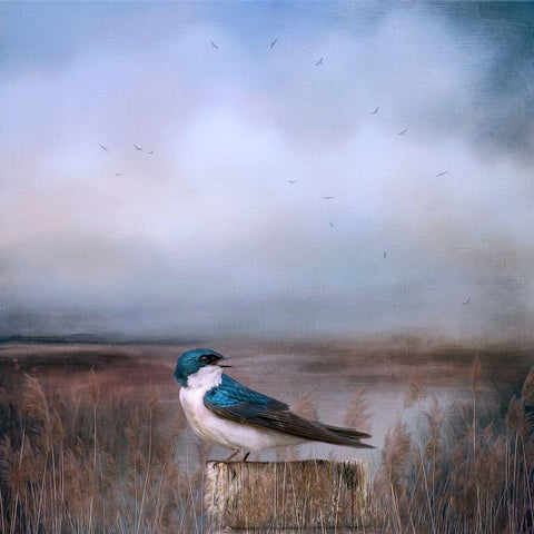 Morning in the Marsh White Modern Wood Framed Art Print by Parker, Kelley