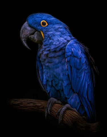 Enchanting   White Modern Wood Framed Art Print with Double Matting by Parker, Kelley