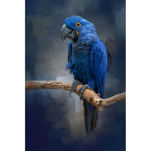 Blue Gem Black Modern Wood Framed Art Print by Parker, Kelley