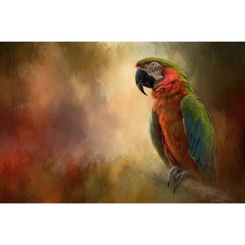 Colorful White Modern Wood Framed Art Print by Parker, Kelley