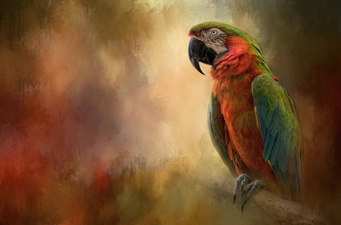 Colorful Black Ornate Wood Framed Art Print with Double Matting by Parker, Kelley