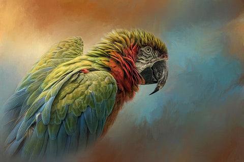 Coat of Many Colors Black Ornate Wood Framed Art Print with Double Matting by Parker, Kelley