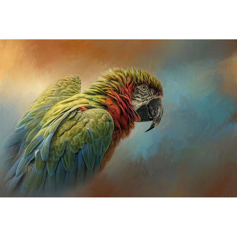 Coat of Many Colors Black Modern Wood Framed Art Print with Double Matting by Parker, Kelley