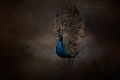 Blue Beauty Black Ornate Wood Framed Art Print with Double Matting by Parker, Kelley