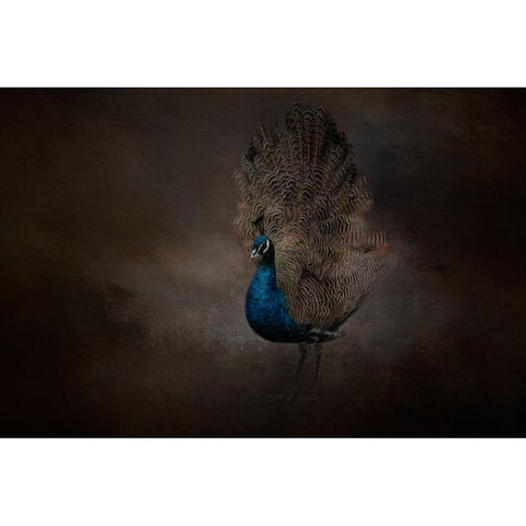 Blue Beauty Black Modern Wood Framed Art Print by Parker, Kelley