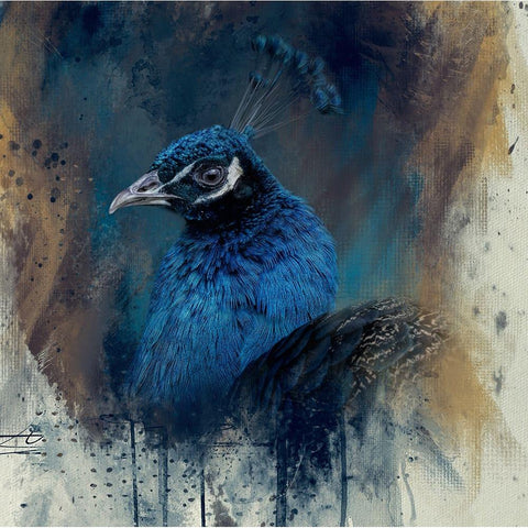 Grace and Beauty Black Modern Wood Framed Art Print by Parker, Kelley