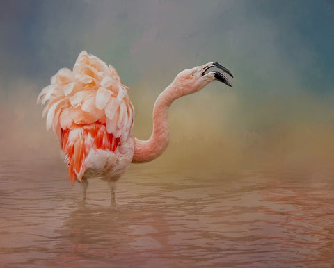 Not Happy White Modern Wood Framed Art Print with Double Matting by Parker, Kelley