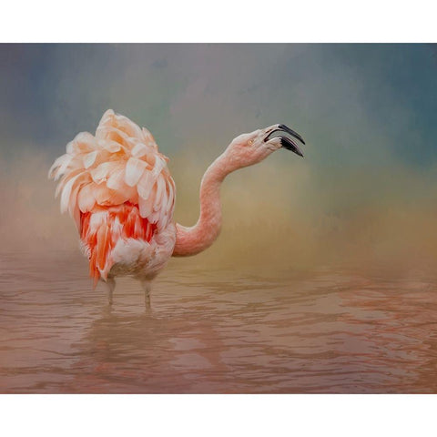 Not Happy White Modern Wood Framed Art Print by Parker, Kelley