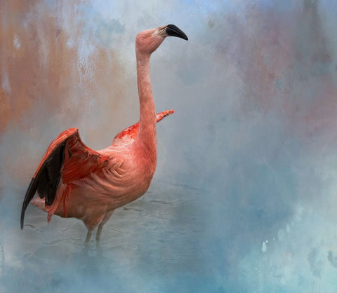 Water Dancer Black Ornate Wood Framed Art Print with Double Matting by Parker, Kelley