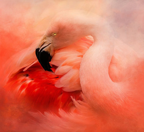 Divine Beauty White Modern Wood Framed Art Print with Double Matting by Parker, Kelley