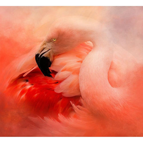 Divine Beauty Black Modern Wood Framed Art Print with Double Matting by Parker, Kelley