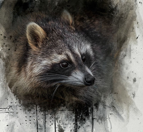 Mischief Maker Black Ornate Wood Framed Art Print with Double Matting by Parker, Kelley