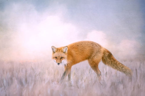 Fire and Ice Black Ornate Wood Framed Art Print with Double Matting by Parker, Kelley