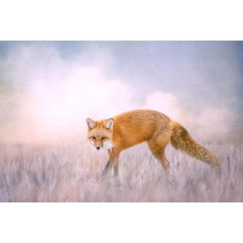 Fire and Ice Black Modern Wood Framed Art Print by Parker, Kelley