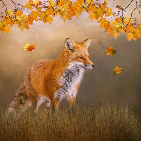 Autumns Arrival White Modern Wood Framed Art Print with Double Matting by Parker, Kelley