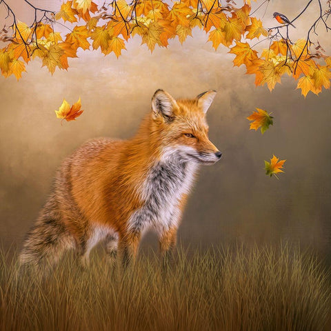 Autumns Arrival White Modern Wood Framed Art Print by Parker, Kelley