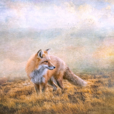 Seeking Mischief Black Ornate Wood Framed Art Print with Double Matting by Parker, Kelley