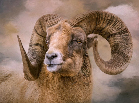 Mountain Dweller White Modern Wood Framed Art Print with Double Matting by Parker, Kelley