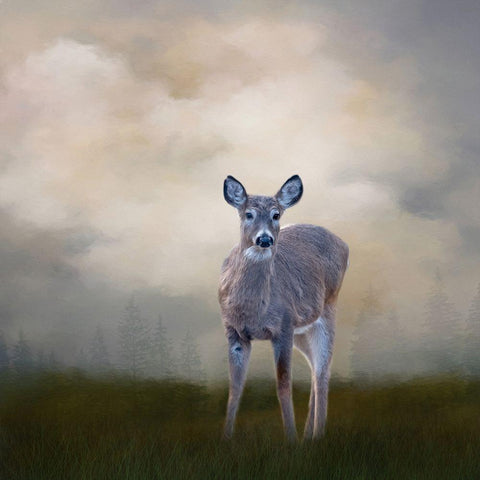 Beauty in the Light Gold Ornate Wood Framed Art Print with Double Matting by Parker, Kelley