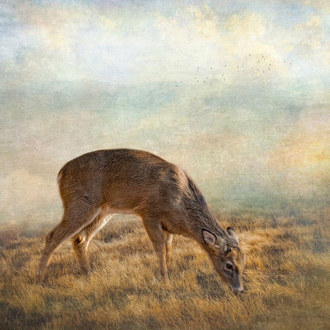 Mornings Foraging Black Modern Wood Framed Art Print by Parker, Kelley