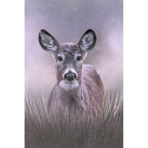 Snow Queen Black Modern Wood Framed Art Print with Double Matting by Parker, Kelley