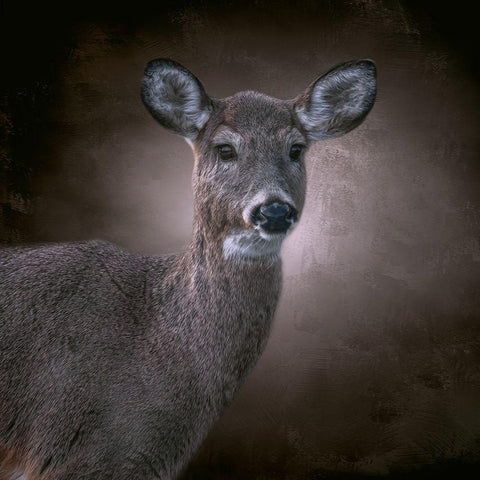 The Observer Black Modern Wood Framed Art Print with Double Matting by Parker, Kelley