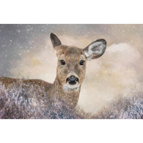 Spirit of Winter Black Modern Wood Framed Art Print with Double Matting by Parker, Kelley