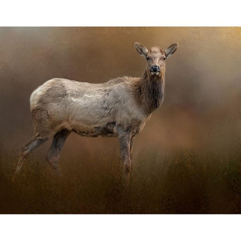 Quiet Elegance Gold Ornate Wood Framed Art Print with Double Matting by Parker, Kelley